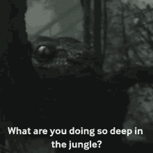 The Jungle Book Disney GIF - The Jungle Book Disney Snake GIFs