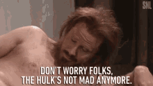 Dont Worry Folks The Hulks Not Mad Anymore GIF