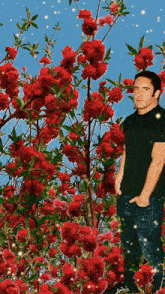 a man in a black shirt is standing in front of a tree full of red flowers