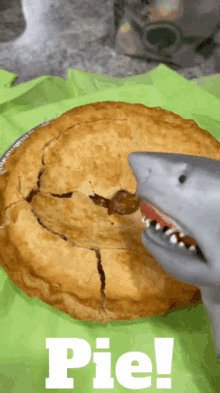 Shark Puppet Pie GIF - Shark Puppet Pie Apple Pie GIFs