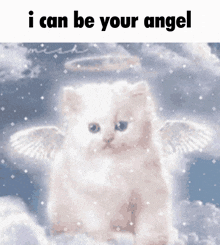 Angel Cat GIF - Angel Cat GIFs