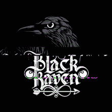 Blackraven GIF - Blackraven GIFs