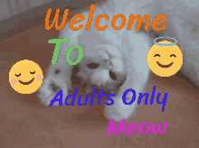 Adults Only Welcome GIF - Adults Only Welcome Cat GIFs