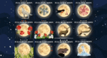 a collection of full moons with different animals and flowers on them