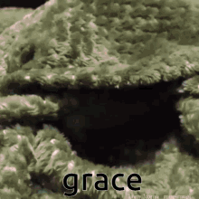 Grace Bunny GIF - Grace Bunny Gracie GIFs