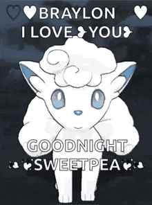 a picture of a pokemon saying i love you goodnight sweetpea