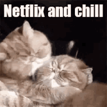 Netflix Chill GIF - Netflix Chill Netflixandchill GIFs