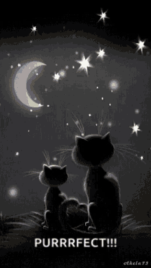 Cats Goodnight GIF - Cats Goodnight Night GIFs