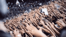 Torcida Crowd GIF - Torcida Crowd Fans GIFs