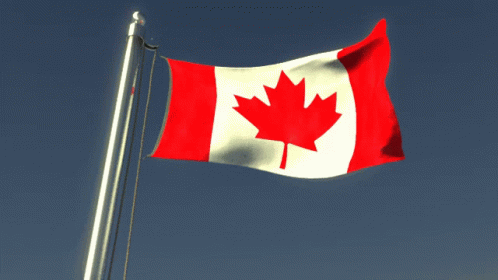 Canada Flag GIF - Canada Flag Flag Waver - Discover & Share GIFs