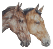 Horses Head GIF - Horses Head Nod GIFs