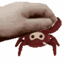 pat crab