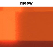 Meow Cat GIF - Meow Cat Roblox GIFs