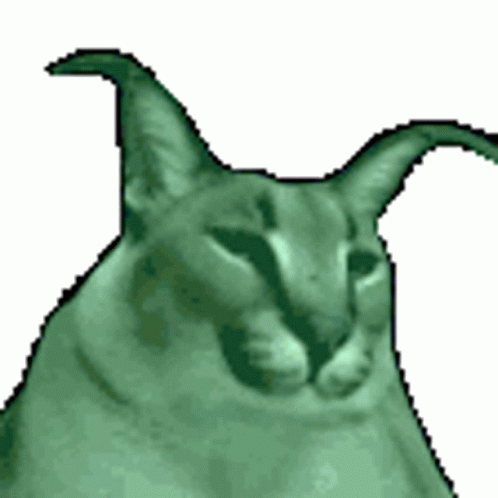 Big Floppa Sticker – Big Floppa – discover and share GIFs
