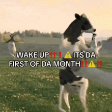 It The First Of The Month GIF