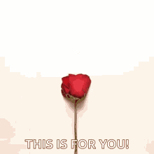 Rose For You This Is For You GIF - Rose For You This Is For You GIFs