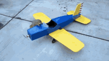 squirrel pilot plane funny toy