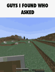 Asked Whoasked GIF