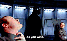As You Wish Darth Vader GIF - As You Wish Darth Vader Vader GIFs