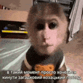 a monkey is wearing a teddy bear shirt and has a caption in a foreign language