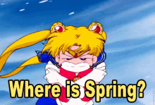 Where Is Spring GIF - Where Is Spring GIFs