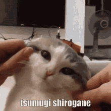 Tsumugi Shirogane GIF - Tsumugi Shirogane Tsumugi Shirogane GIFs