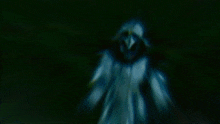 a blurry picture of a person with a bird on their head standing in the dark .