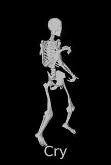 Cry Skeleton Mr Boner GIF - Cry Skeleton Mr Boner GIFs