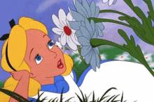 Alice Red Tunnel GIF - Alice Red Tunnel Pink Tunnel GIFs