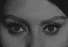 Sophia Loren GIF - Sophia Loren GIFs