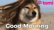 Gm Morning GIF - Gm Morning Gm Gm GIFs
