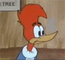 Woody The Woodpecker Looks GIF - Woody The Woodpecker Looks Stare GIFs
