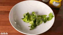 Salad Hate Salad GIF - Salad Hate Salad Healthy Food GIFs