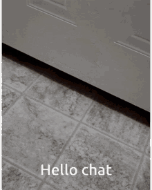 Door Toucan GIF - Door Toucan Hello Chat GIFs