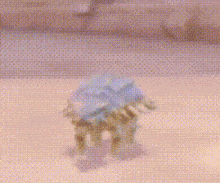 a dinosaur is walking across a sandy field