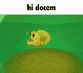 Hi Docem GIF - Hi Docem Hi Docem GIFs