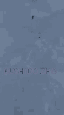 Bushido Zho GIF