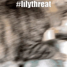 Lilythreat Lilycat GIF - Lilythreat Lilycat GIFs