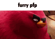 pfp furry