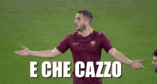 As Roma Serie A E Che Cazzo Ma Perché Non Capisco Fallo Calcio GIF - As Roma Wtf Dont Get It GIFs