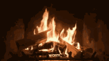 Fire Place GIF - Fire Place Warm GIFs