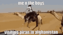 piran