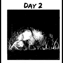 a black and white drawing of a person laying in the grass with the words day 2 above them .