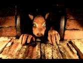 a statue of a pig is sticking its head out of a brick wall
