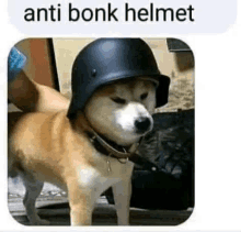 Anti Bonk Helmet GIF