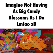 a screenshot of a game that says imagine not having as big candy blossoms as i do lmfao