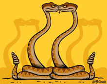 Snakes Rattlesnakes GIF