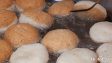a bunch of doughnuts are being cooked in a frying pan with the words made in animatica visible