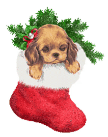 merry christmas puppy stocking