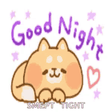 Good Night Smep Tight GIF - Good Night Smep Tight Sleeping GIFs